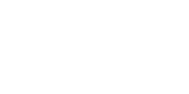 Webfleet white logo – official Fleet Focus partner.