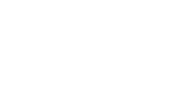 Pallet Plus white logo – a Fleet Focus customer.